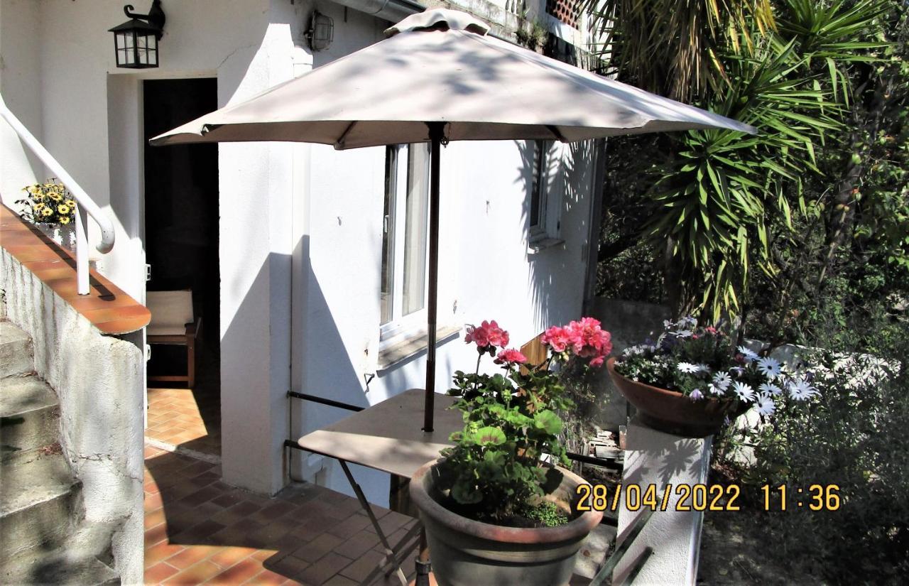 Nice - Studio Independant En Villa - Mer Ville Calme Jardinet Екстер'єр фото